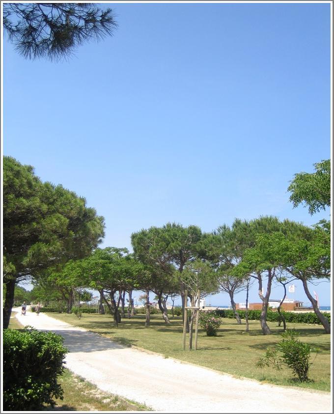 Locations Meublees Plage Des Pins Argeles-sur-Mer Luaran gambar